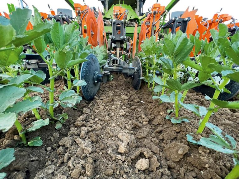 Amazone Venterra 2K Inter-Row Hoe 2